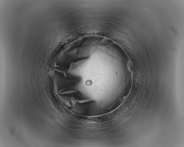 X0000111680743200907311219