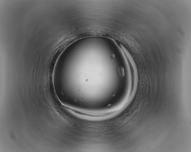 X0000111680744200907311219