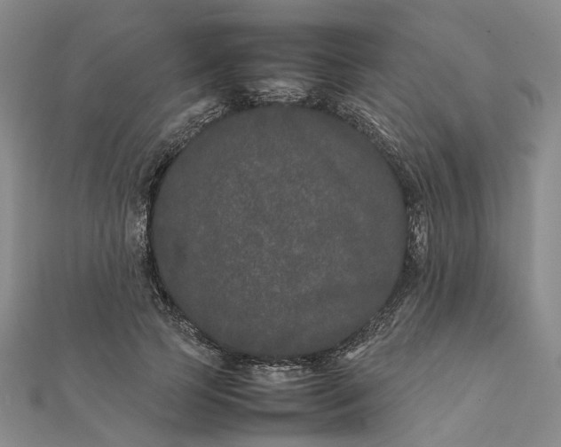 X0000111680745200907311219