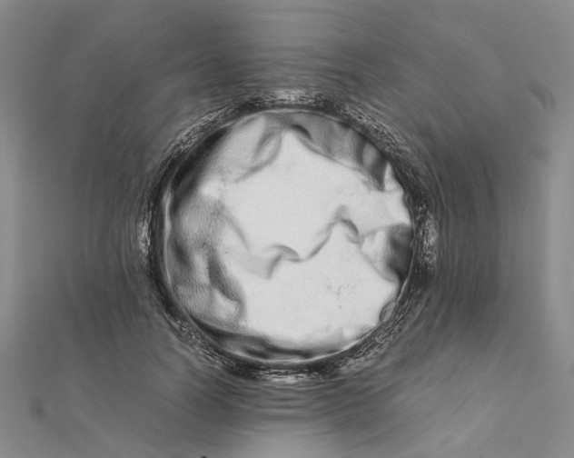 X0000111680746200907311219