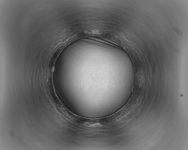 X0000111680747200907311219