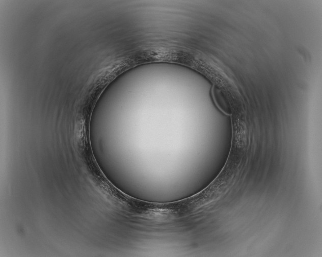 X0000111680748200907311219