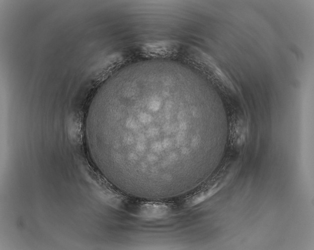 X0000111680749200907311219