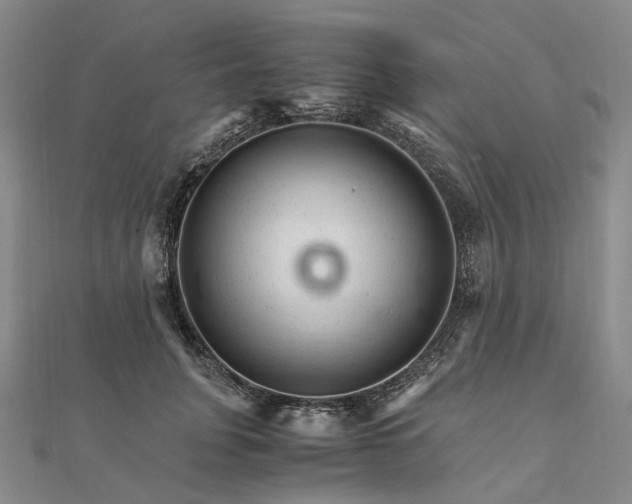 X0000111680751200907311219