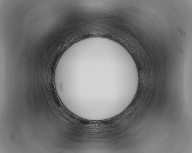 X0000111680752200907311219