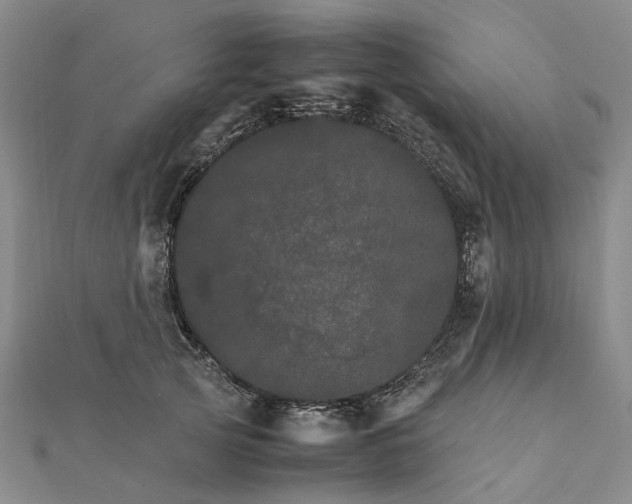 X0000111680753200907311219