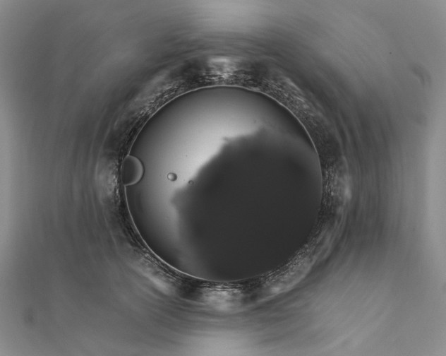 X0000111680754200907311219