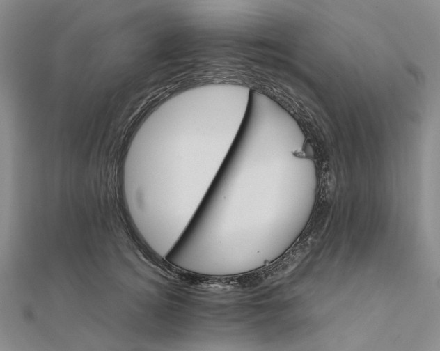 X0000111680756200907311219