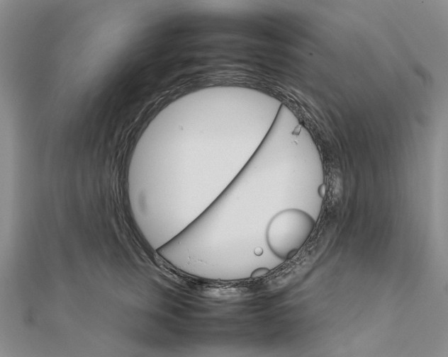 X0000111680759200907311219