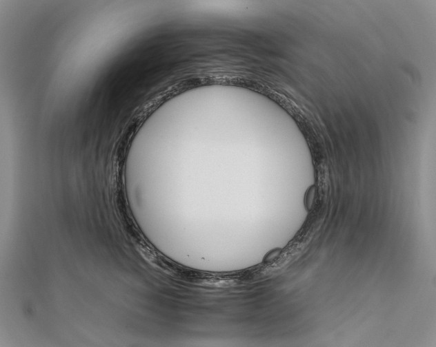 X0000111680760200907311219