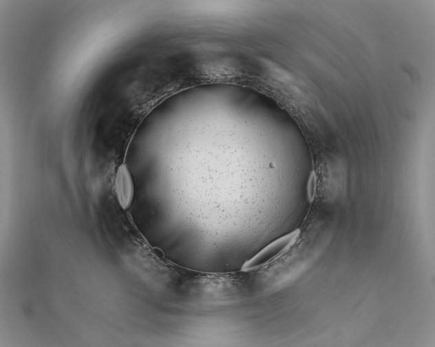 X0000111680762200907311219