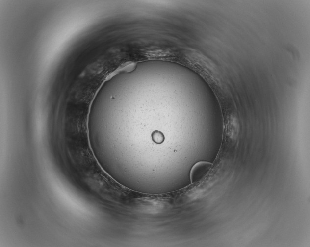 X0000111680763200907311219