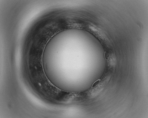 X0000111680764200907311219