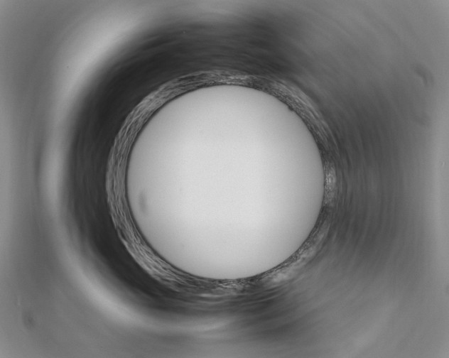 X0000111680765200907311219