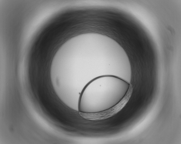 X0000111680766200907311219