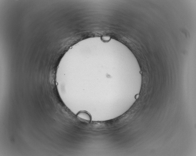 X0000111680768200907311219