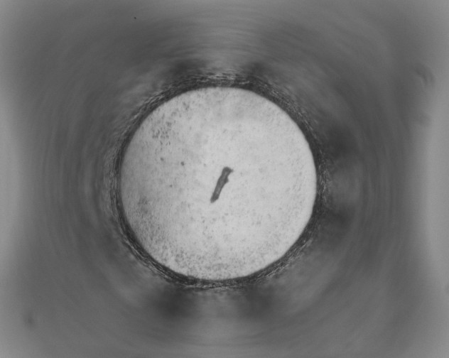 X0000111680769200907311219