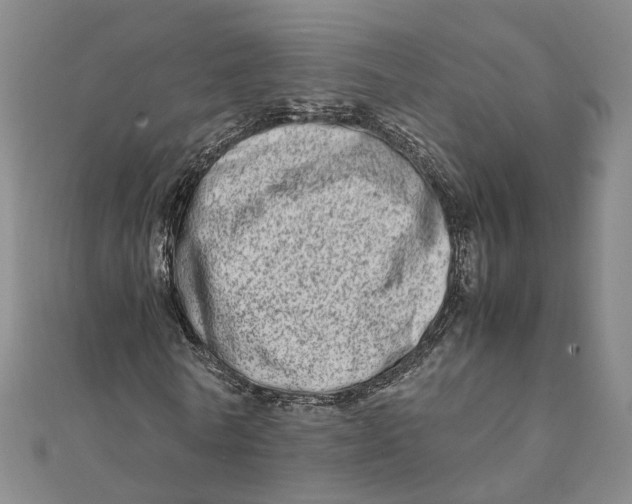 X0000111680770200907311219