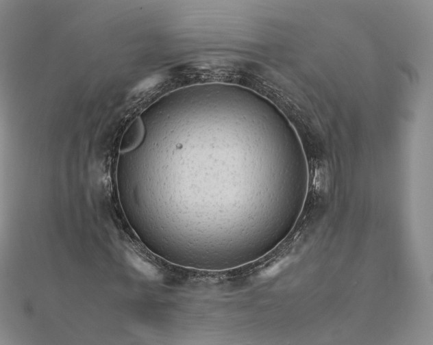 X0000111680771200907311219