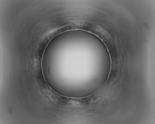 X0000111680773200907311219