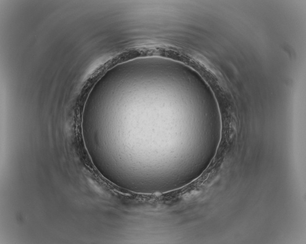 X0000111680775200907311218