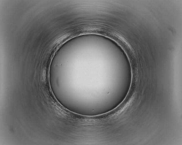 X0000111680777200907311218