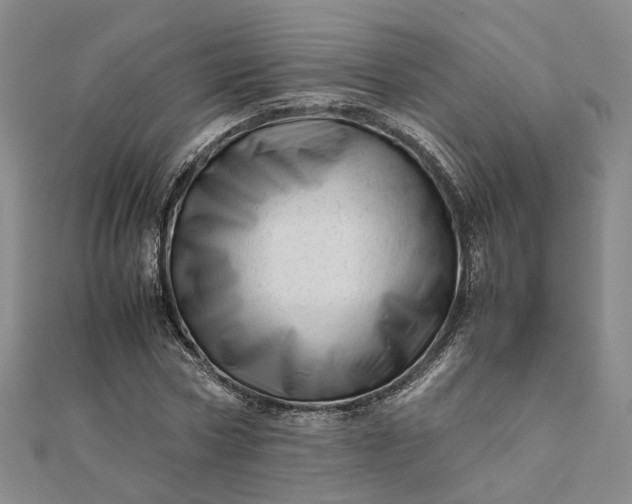 X0000111680778200907311218