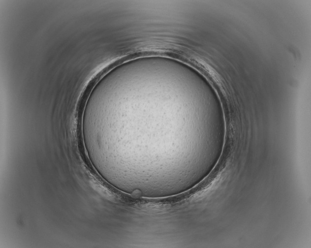 X0000111680779200907311218