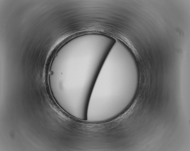 X0000111680780200907311218