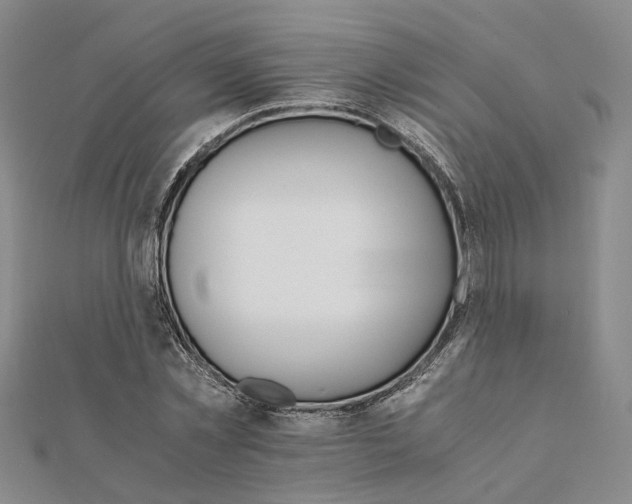 X0000111680781200907311218