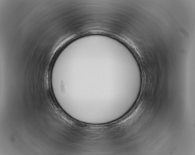 X0000111680782200907311218