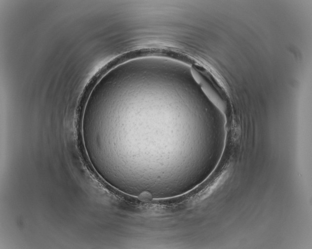 X0000111680783200907311218