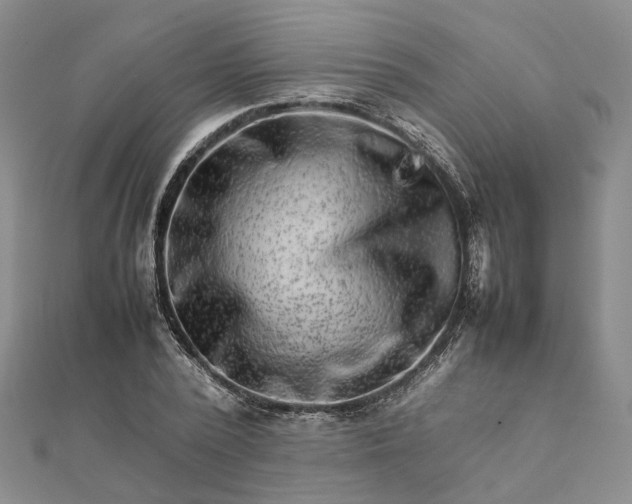 X0000111680784200907311218