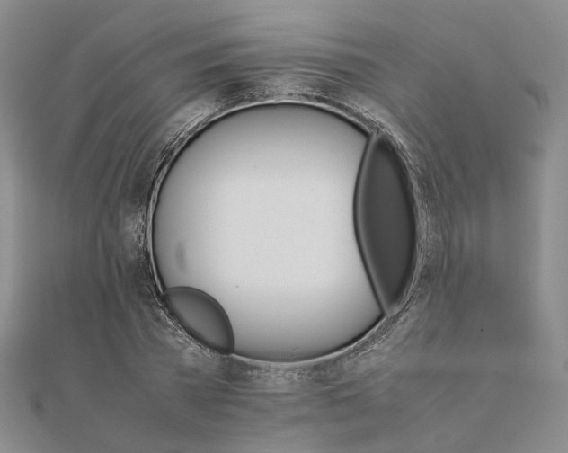 X0000111680785200907311218