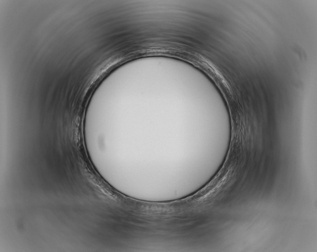 X0000111680786200907311218