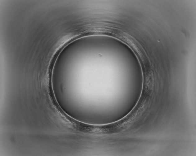 X0000111680787200907311218