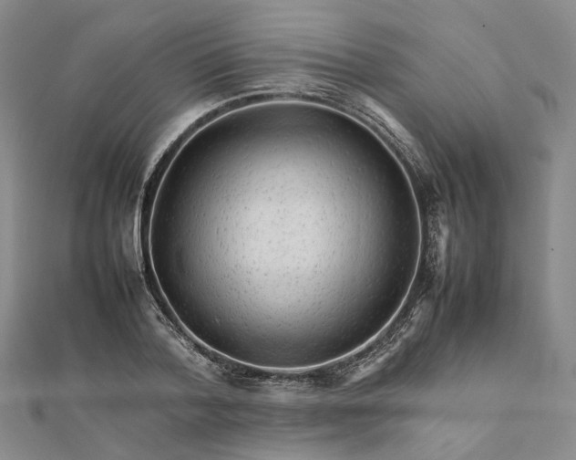 X0000111680788200907311218