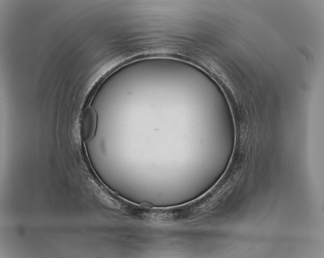 X0000111680789200907311218