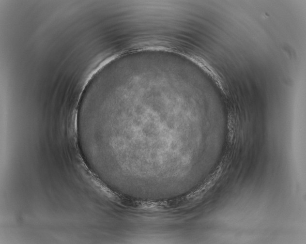 X0000111680790200907311218