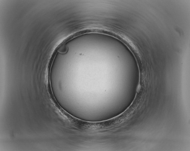 X0000111680791200907311218