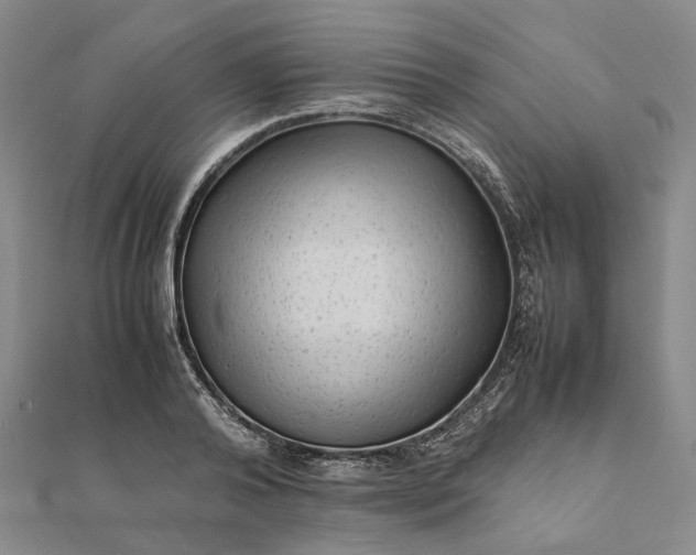 X0000111680792200907311218