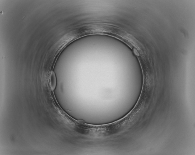 X0000111680793200907311218