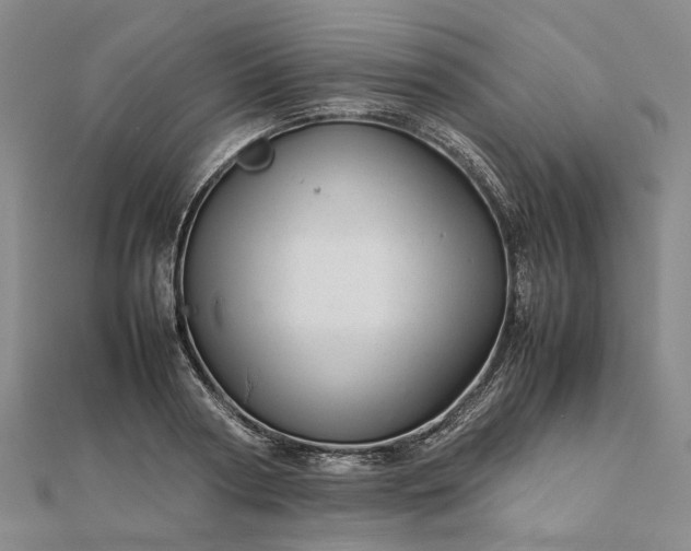 X0000111680794200907311218