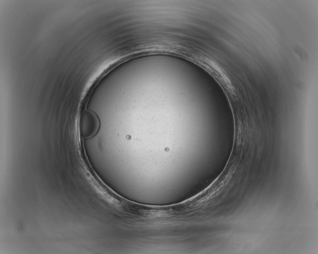 X0000111680796200907311218