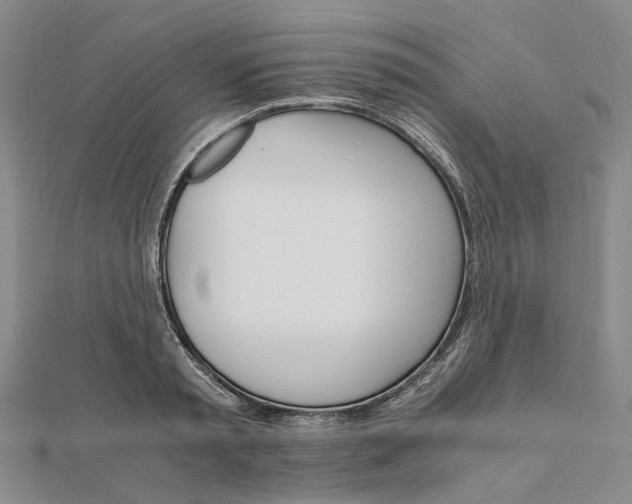 X0000111680797200907311218