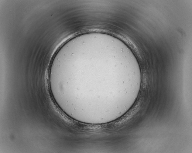 X0000111680798200907311218