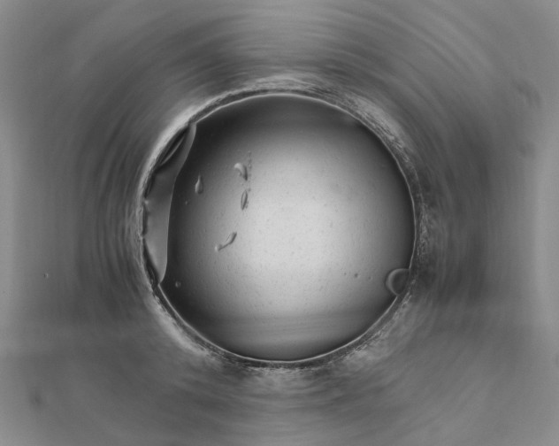 X0000111680800200907311218