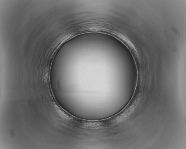 X0000111680801200907311218