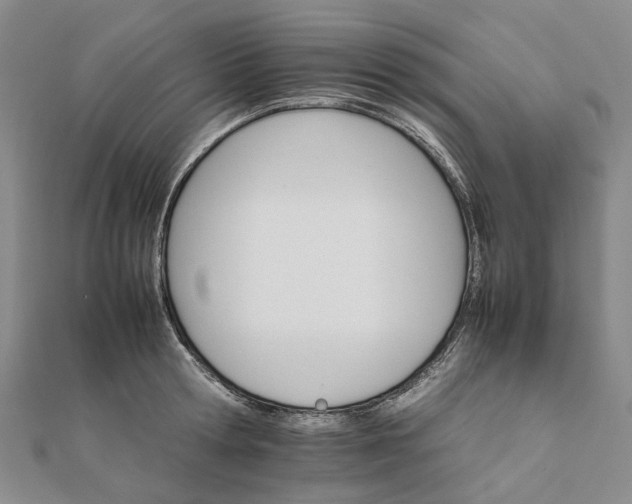 X0000111680802200907311218