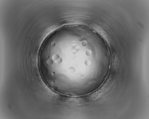 X0000111680805200907311218